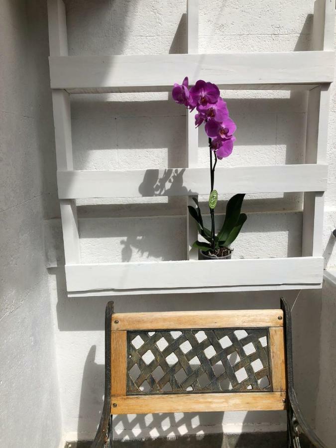Cappuccini Apartment 팔레르모 외부 사진